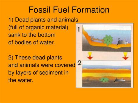 Fossil Fuel Formation Timeline