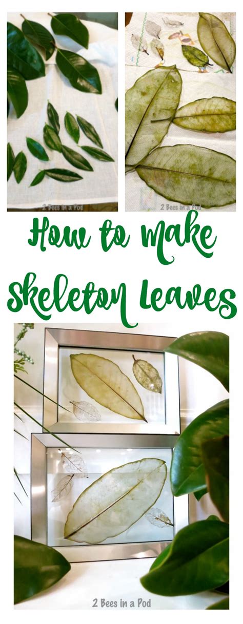 How to Make Skeleton Leaves - 2 Bees in a Pod