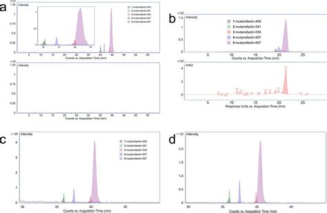 Lchrms Extracted Ion Chromatogram Traces Of The Metabolic Extracts Of Download Scientific