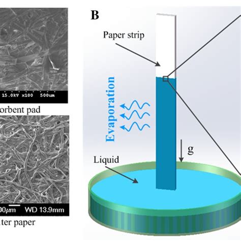 Mesoscopic Models For Wicking Behaviors In Paper A The Sem Image Of