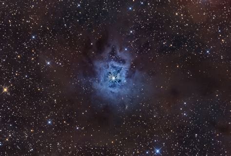 NGC7023 The Iris Nebula Astrodoc Astrophotography By Ron Brecher