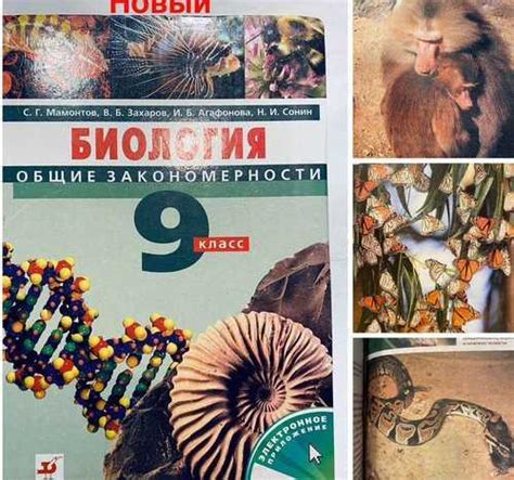 Учебник Биология 9 кл Мамонтов Сонин Санкт-Петербург | Товары для хобби ...