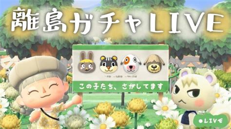 【あつ森】残すは4人🐰🐿🐶🐶🐾離島ガチャ配信🐾ミミィ・シルエット・トミ・ボブを救え！【ライブ｜生放送】 あつ森 動画まとめ