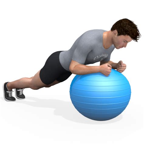 Exercise Ball Plank Video Exercise Guide