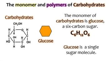 Ap Biology Topic Carbohydrates Animated Powerpoint By Hey Now