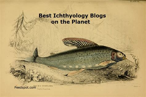 10 Best Ichthyology Blogs and Websites To Follow in 2023