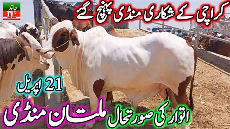 Karachi Ke Farmers Or Multan Cow Mandi Fresh Latest Update Today 21 04