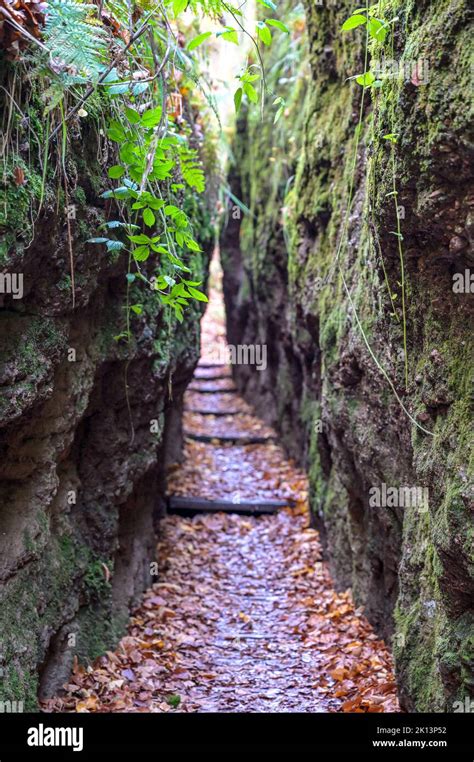 Drachenschlucht in Eisenach Thüringen Stock Photo Alamy