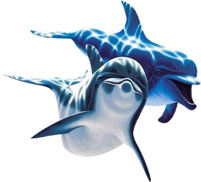 Dolphins PNG image transparent image download, size: 400x361px