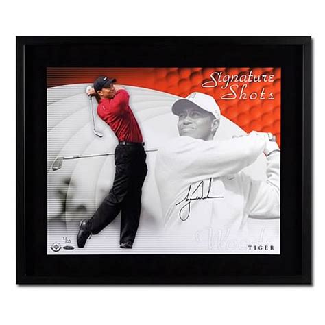 Tiger Woods Signed Signature Shots Framed Photo Upper Deck Sports