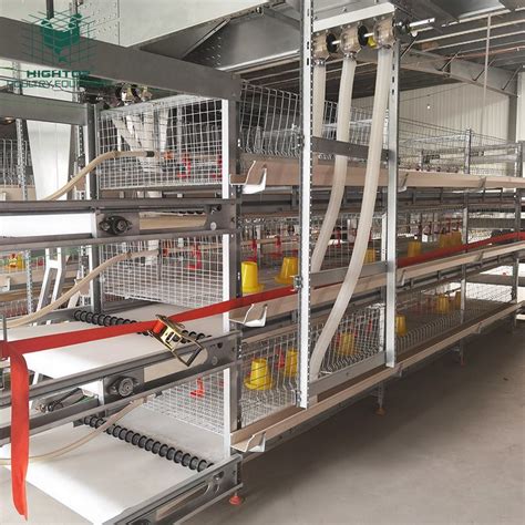 Chicken Farming Automatic Broiler Battery Chicken Cages Poultry