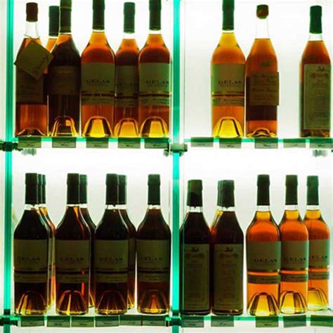 Cognac: Die wichtigsten Marken im Test [+Ratgeber]