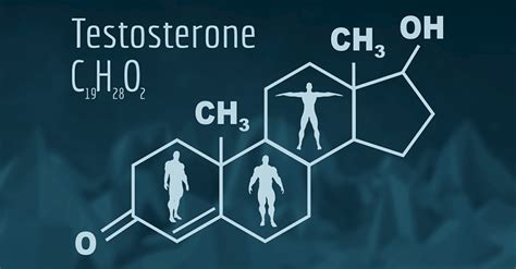 Testosterone Deficiency - CheckUp Health