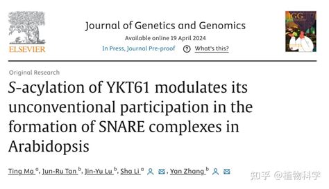 南开大学张彦团队发现拟南芥ykt61通过棕榈酰化修饰非常规参与snare复合体形成 知乎
