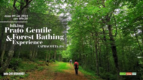 Hiking A Prato Gentile Forest Bathing Experience