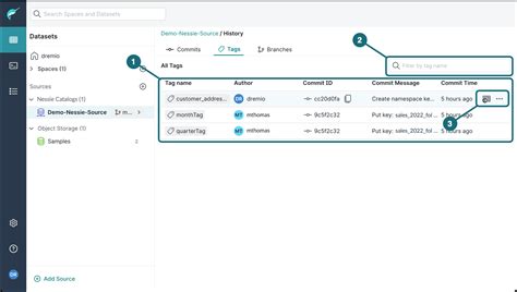 Quick Tour of the Nessie as a Source Page | Dremio Documentation