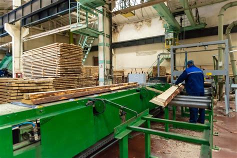 Producción De Madera Apilada De La Madera Del Pino Para Procesar