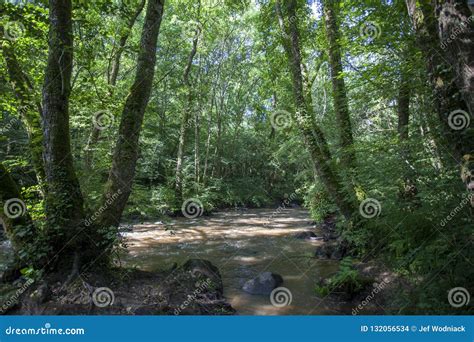 Orne River Gorge, River in the Forest Stock Photo - Image of flow ...