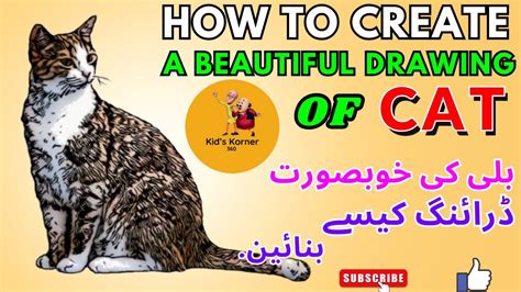 How To Make Drawing Of Cat Cute Billi Ki Tasveer Banane Ka Tareeqa