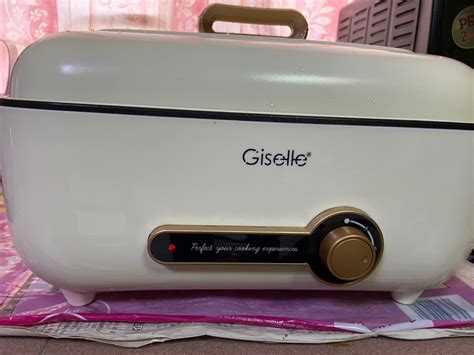 Giselle Multifunction Electric Hot Pot Cooker With Grill 1500W 4L Alpha Living Atelier