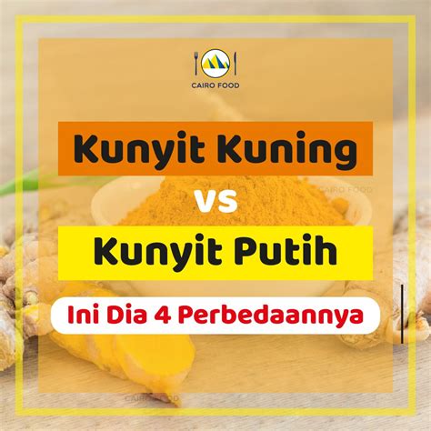 Kunyit Kuning Vs Kunyit Putih Ini Dia 4 Perbedaannya