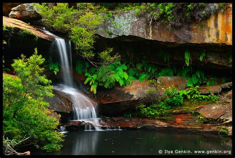 Upper Gledhill Falls Ku Ring Gai Chase National Park Nsw Australia