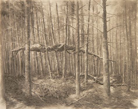 Slow Art with Alan Bray, July 22-26 - Monson Arts