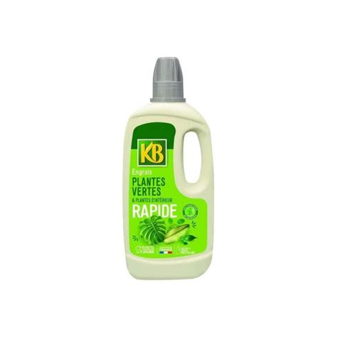 Engrais Rapide Pour Plantes Vertes KB 1L Leroy Merlin