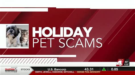 Better Business Bureau Warns Of Pet Adoption Scams Youtube