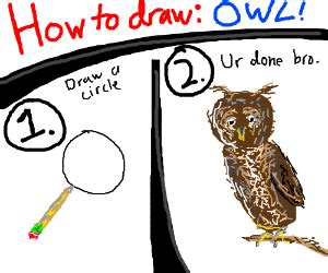 tutorial draw circle draw rest of the owl - Drawception