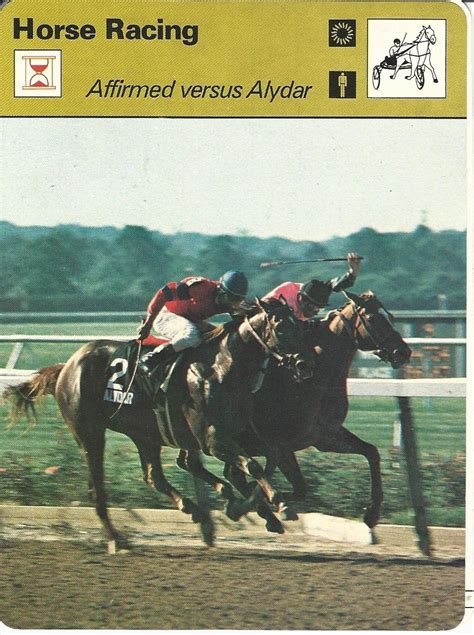 1977 79 Sportscaster Card 4214 Horse Racing Affirmed Alydar At