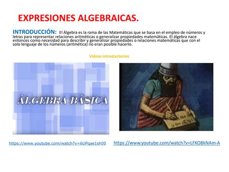 Solution Expresiones Algebraicas Para Principiantes Studypool