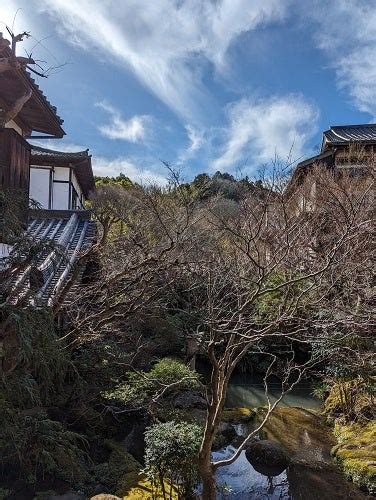 いいお天気になりました。 伊豆修善寺温泉 登録有形文化財 新井旅館 ブログ 「あらゐ日記」