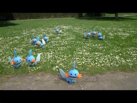 Dia Comunitário do Pokémon GO Mudkip para todo lado YouTube