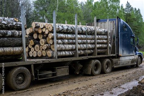 Tip Truck Transportation Of Sawn Timber The Truck Transports Logs On