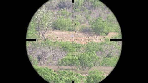 The Best Rimfire Scope For 22lr In 2023 Scopes Field