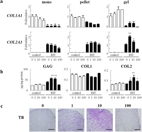 Pn Premixed Collagen Induced Chondrogenesis Of Chondrocytes A Gene