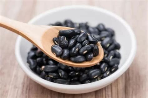 Kacang Hitam Bagus Dikonsumsi Harian Ini 6 Nutrisinya Jogja