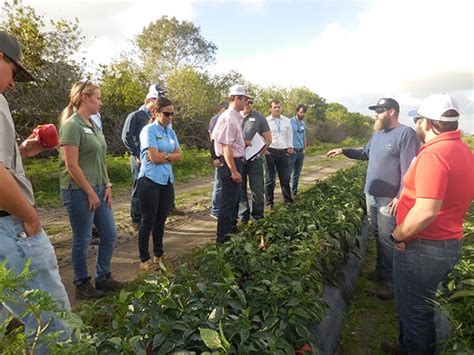 ELDP Florida Specialty Crop Foundation