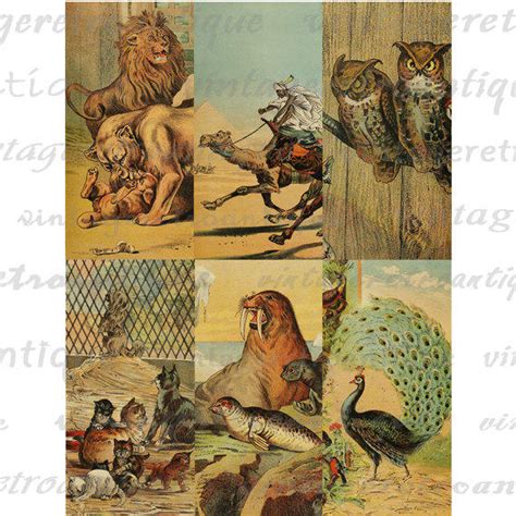 Vintage Animal Illustrations No.245 by VintageRetroAntique on DeviantArt