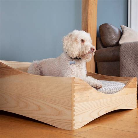 Awesome Modern Dog Beds At Josejnielseno Blog