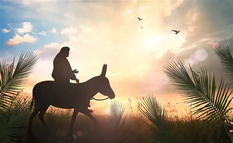 Triumphal Entry Why Jesus Had To Go To Jerusalem Preach It Teach It