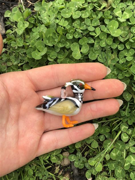 tiny animals made of glass! : r/Animals