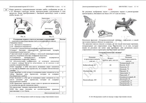 Демоверсия подготовки к ЕГЭ по биологии 2024 | LANCMAN SCHOOL