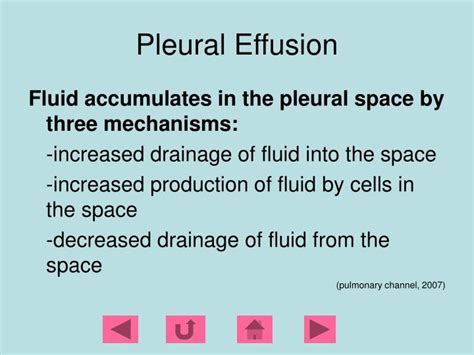 Ppt Pleural Effusions Powerpoint Presentation Id 224571