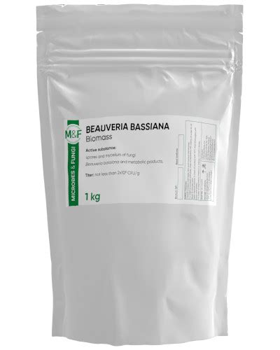 Beauveria bassiana