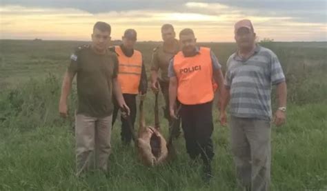 Caza Furtiva Demoraron A Tres Hombres Por Cazar Un Monumento Natural