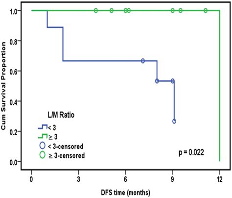 Kaplanmeier Curve For Dfs With Lm Ratio Disease Free Survival Dfs Download Scientific