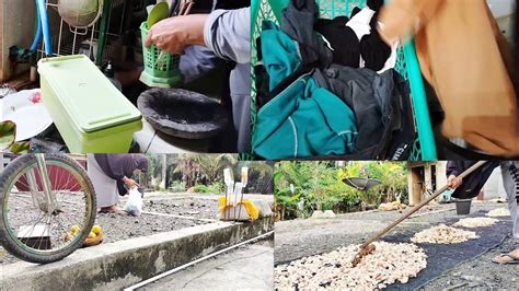 Kegiatan Irt Jemur Buah Kakao Punguti Sampah Lanjut Mencuci Tumpukan