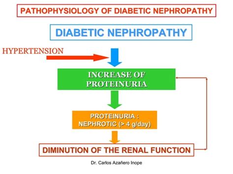 PATHOPHYSIOLOGY OF DIABETIC NEPHROPATHY | PPT